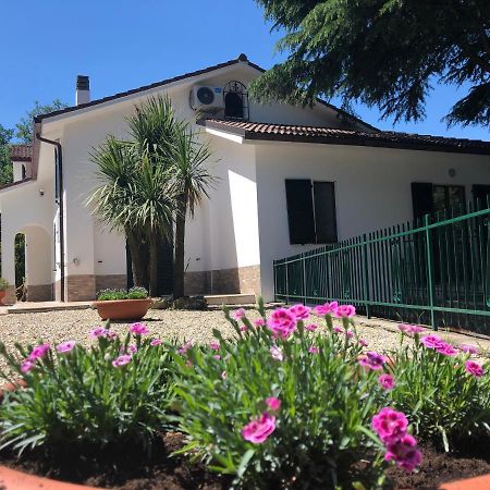 B&B Zac House Toirano Exteriér fotografie